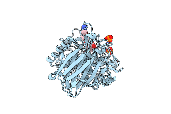 5G0M image