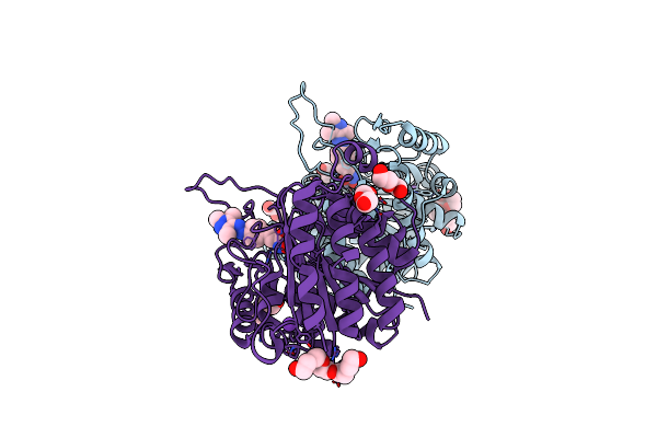5G1C image