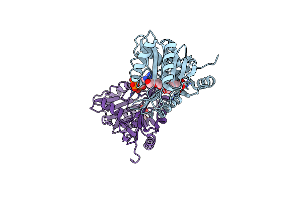 5G1F image