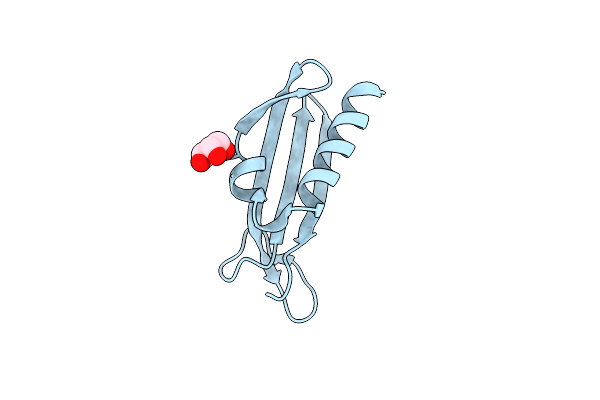 5G25 image