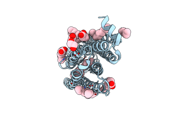 5G2C image