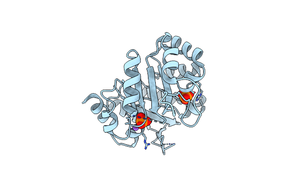 5G2I image