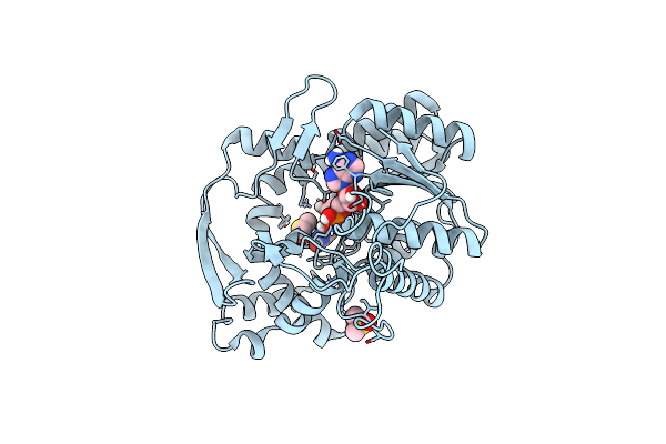 5G2O image