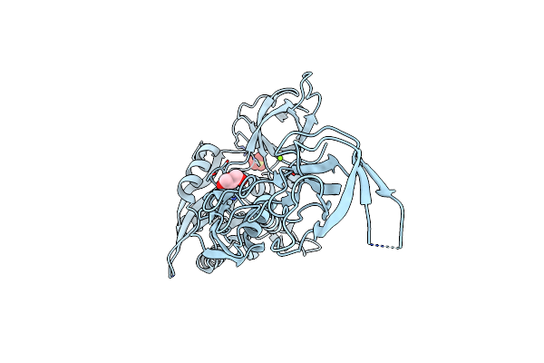 5G2R image