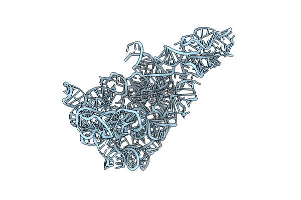 5G2Y image