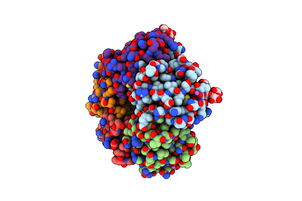 5G3L image