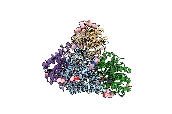 5G3W image