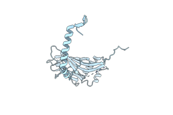 5G3X image