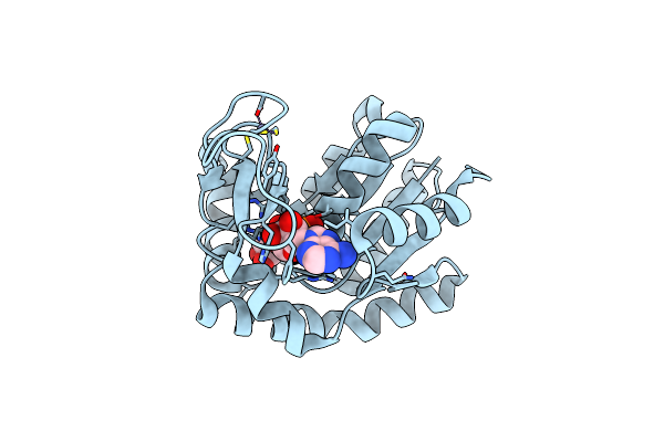 5G40 image