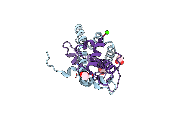 5G49 image