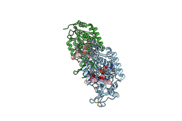5G4C image