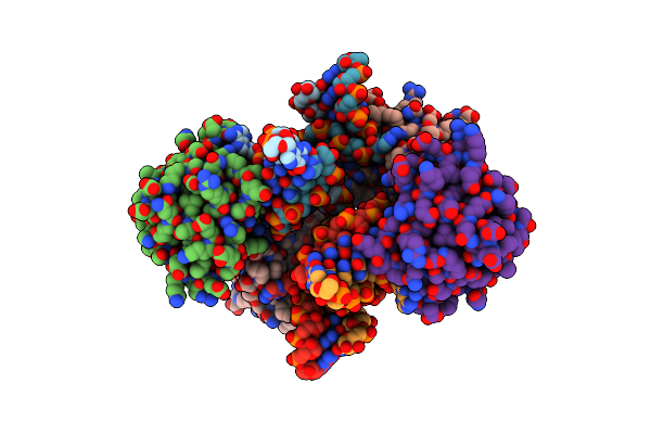 5G4V image