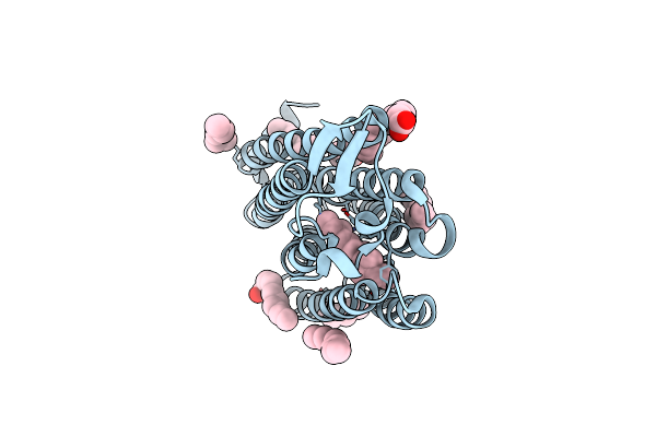 5G54 image
