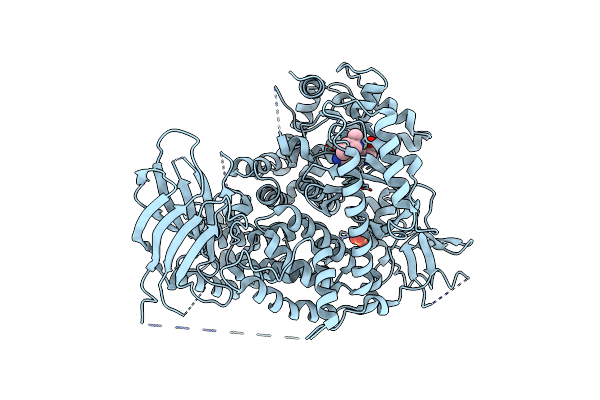 5G55 image