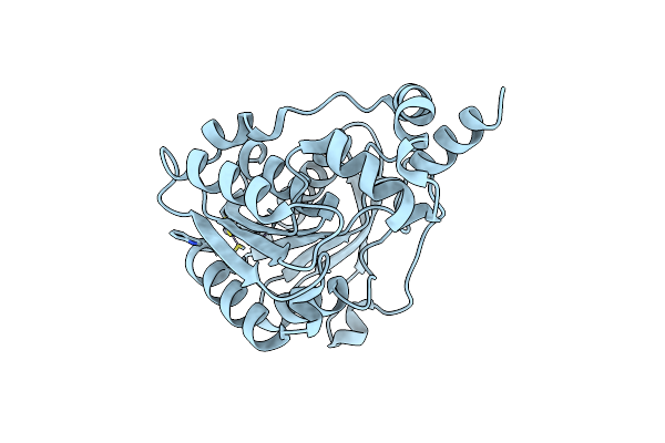 5G59 image
