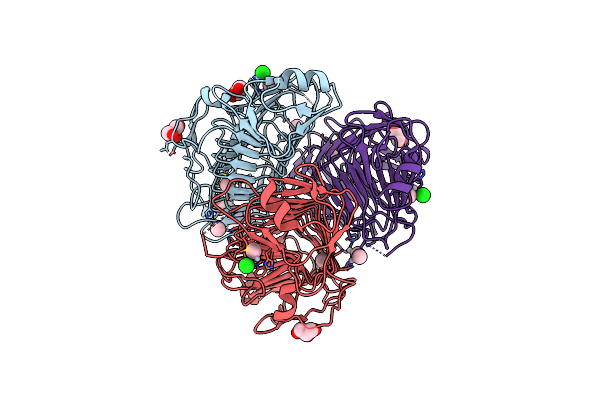 5G5N image