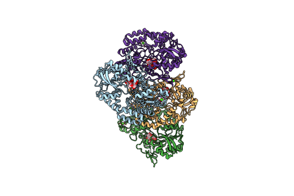 5G5Z image