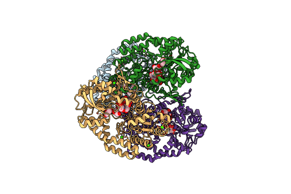 5G60 image