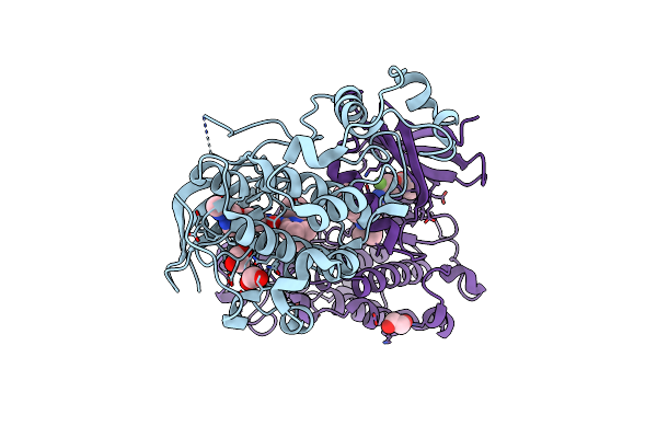 5G6V image
