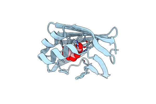 5GGE image