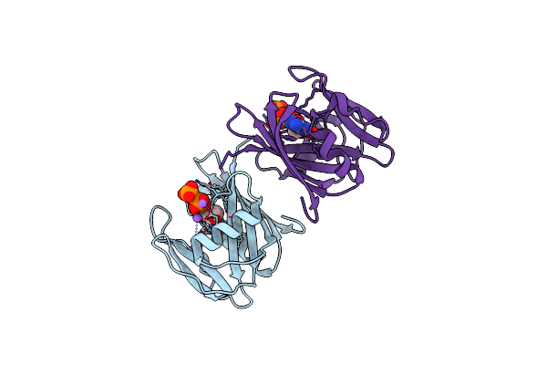 5GHN image