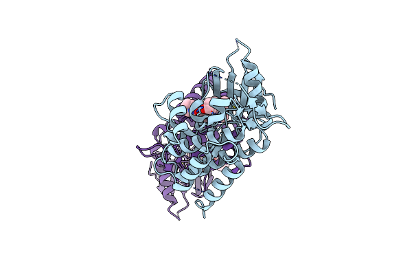 5GHV image