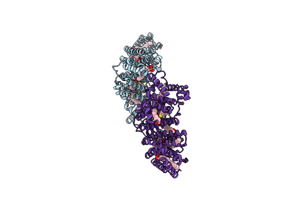 5GIX image