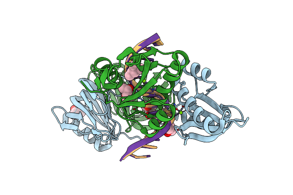 5GKE image