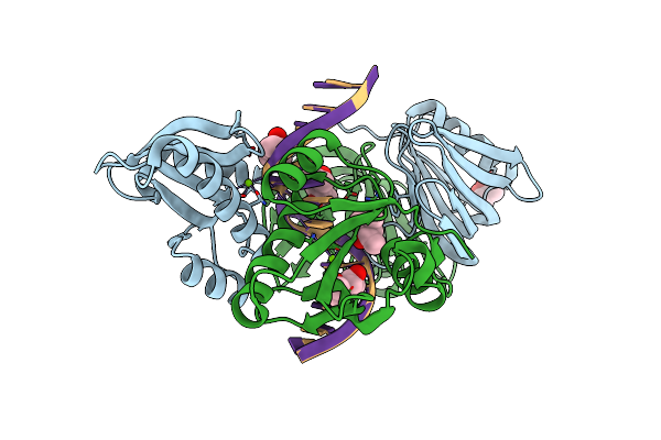 5GKF image