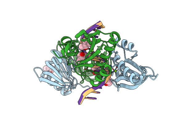 5GKG image