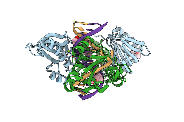 5GKI image