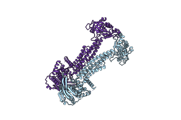 5GKO image