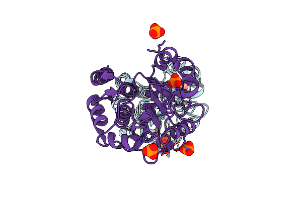 5GKX image
