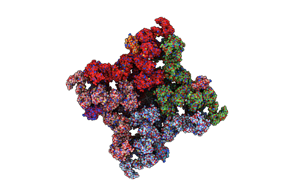 5GL0 image
