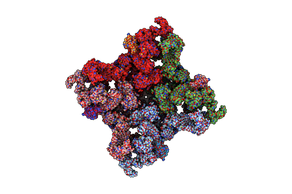 5GL1 image