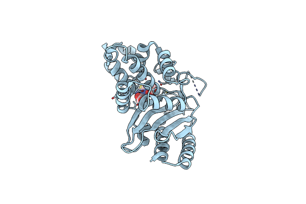 5GLB image