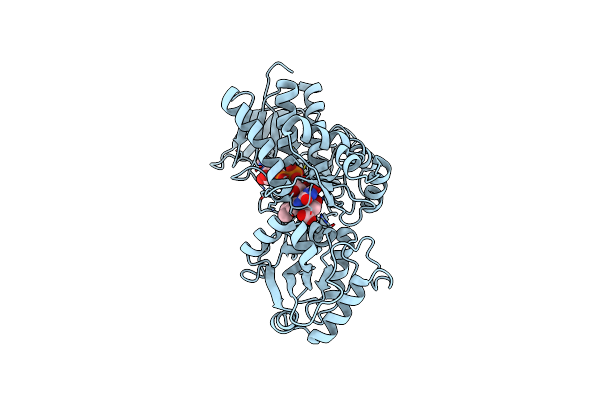 5GLG image
