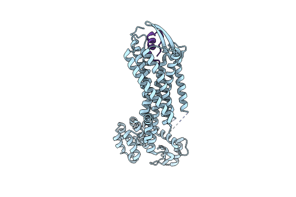5GLH image