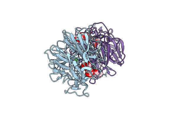 5GLR image