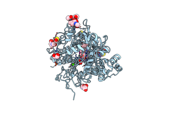 5GLS image