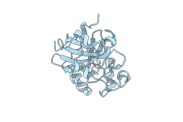 5GLX image