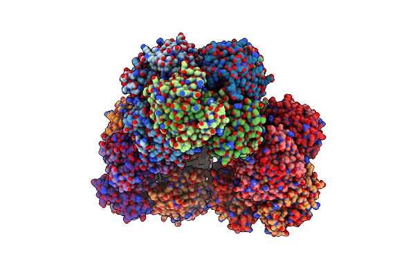 5GM1 image