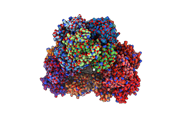 5GM2 image