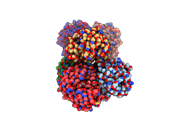 5GM4 image