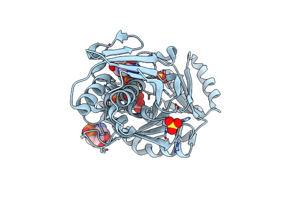 5GMD image