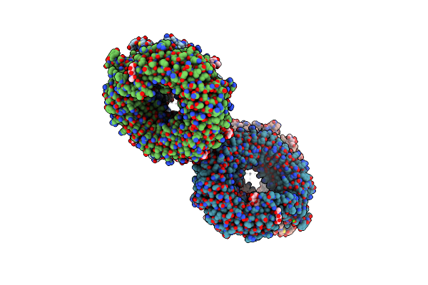5GMF image
