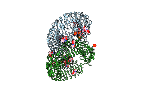 5GMG image