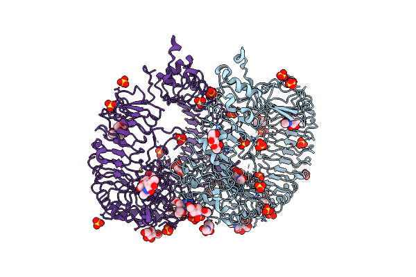 5GMH image