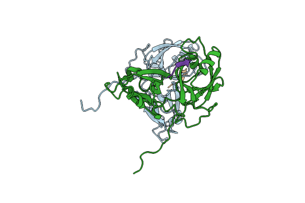 5GMI image