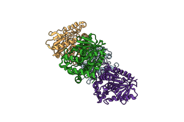 5GMR image